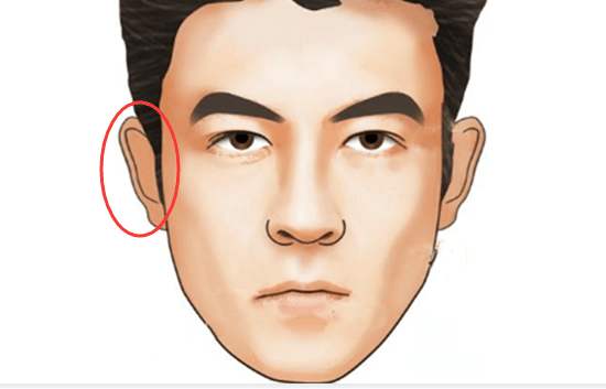 男人耳朵后面长痣位置面相图解_男人耳朵薄代表什么_面相中耳朵薄代表什么