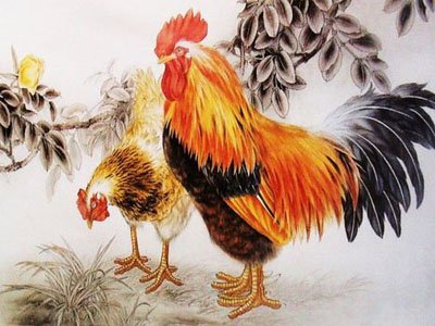 生肖鸡和生肖鸡相配吗_生肖鸡是什么年份_12生肖中鸡是凤凰吗?