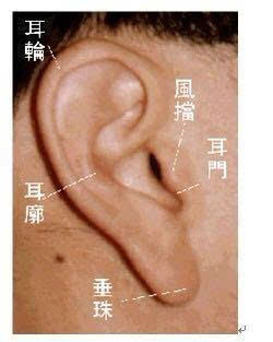 耳朵里长痣代表什么意思面相学_脸长面相代表什么_左右耳朵面相代表