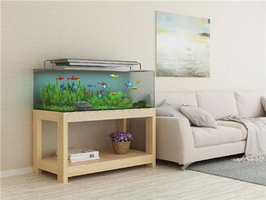 客厅鱼缸高度多少合适风水_客厅鱼缸高度多少合适_鱼缸摆在客厅哪个位置合适
