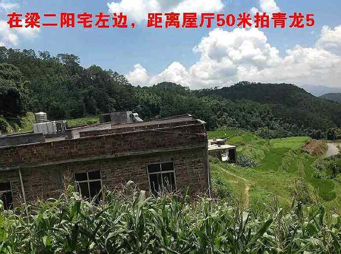 中国第一“猛男”之阳宅《猪乸地》风水考察记