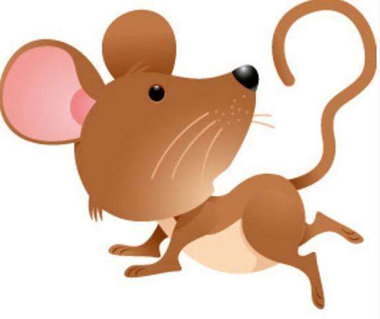鼠年的生肖传说与介绍_生肖运势2021年运程鼠_72年鼠同什么生肖相克