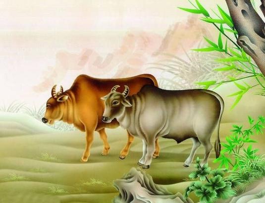 85年属牛是什么命_属牛的年份是_年属牛是什么命