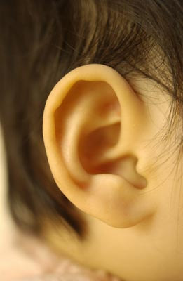 耳朵向前罩的人命运_耳朵向前罩面相_耳朵往前罩是招风耳吗